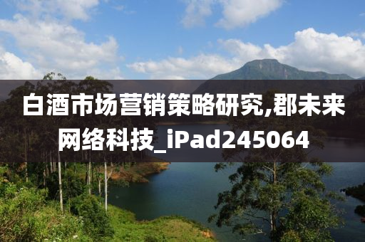 白酒市场营销策略研究,郡未来网络科技_iPad245064