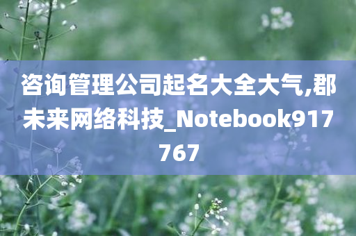 咨询管理公司起名大全大气,郡未来网络科技_Notebook917767