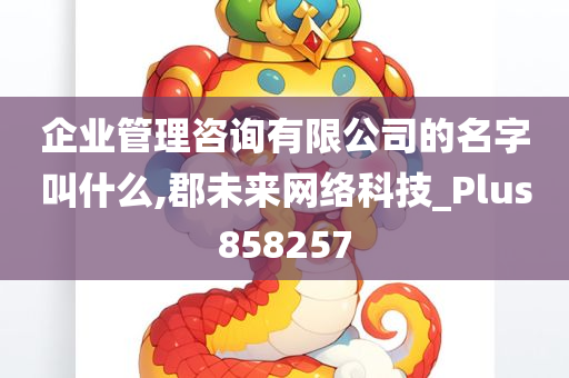 企业管理咨询有限公司的名字叫什么,郡未来网络科技_Plus858257