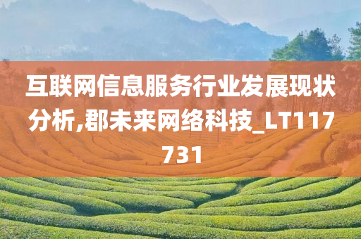 互联网信息服务行业发展现状分析,郡未来网络科技_LT117731