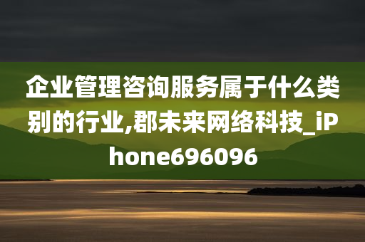 企业管理咨询服务属于什么类别的行业,郡未来网络科技_iPhone696096