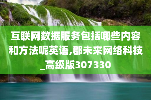 互联网数据服务包括哪些内容和方法呢英语,郡未来网络科技_高级版307330