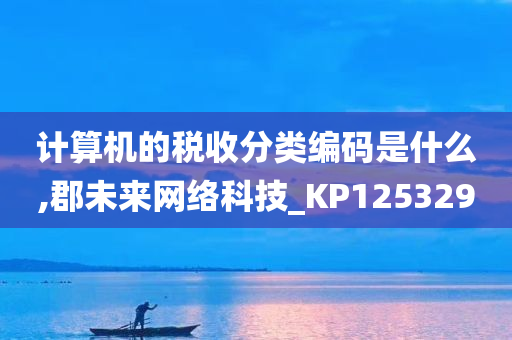 计算机的税收分类编码是什么,郡未来网络科技_KP125329