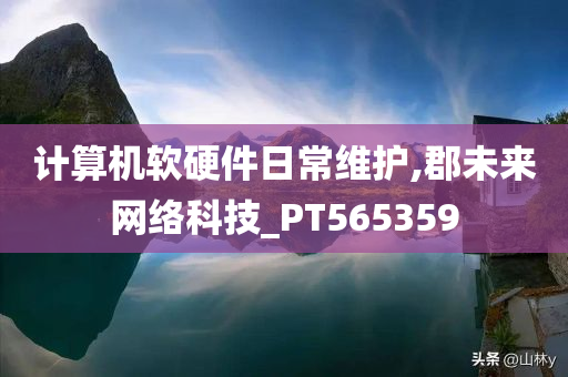 计算机软硬件日常维护,郡未来网络科技_PT565359