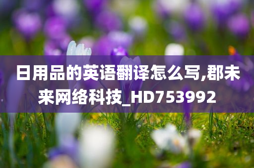 日用品的英语翻译怎么写,郡未来网络科技_HD753992