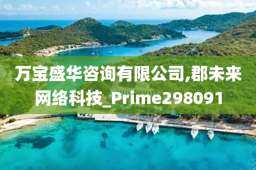 万宝盛华咨询有限公司,郡未来网络科技_Prime298091