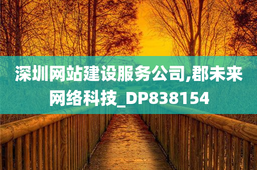 深圳网站建设服务公司,郡未来网络科技_DP838154