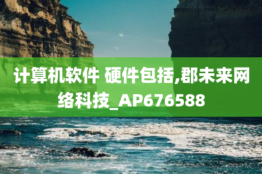 计算机软件 硬件包括,郡未来网络科技_AP676588