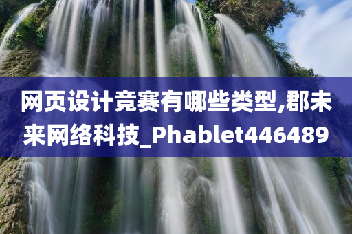 网页设计竞赛有哪些类型,郡未来网络科技_Phablet446489