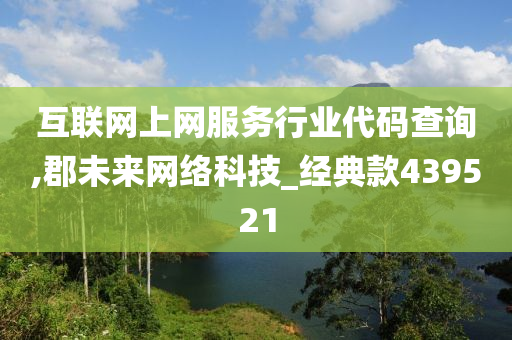 互联网上网服务行业代码查询,郡未来网络科技_经典款439521