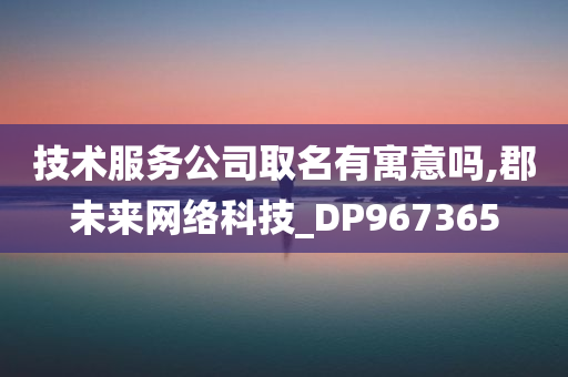 技术服务公司取名有寓意吗,郡未来网络科技_DP967365