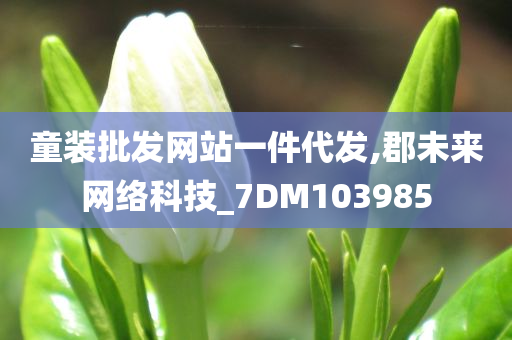 童装批发网站一件代发,郡未来网络科技_7DM103985