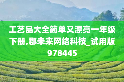 工艺品大全简单又漂亮一年级下册,郡未来网络科技_试用版978445