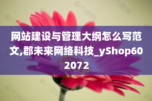 网站建设与管理大纲怎么写范文,郡未来网络科技_yShop602072