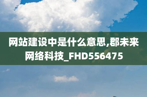 网站建设中是什么意思,郡未来网络科技_FHD556475