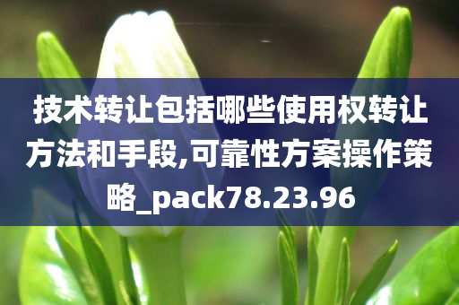 技术转让包括哪些使用权转让方法和手段,可靠性方案操作策略_pack78.23.96