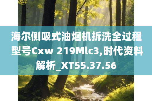 海尔侧吸式油烟机拆洗全过程 型号Cxw 219Mlc3,时代资料解析_XT55.37.56