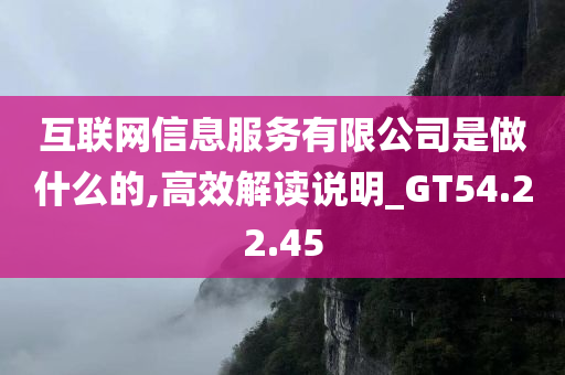 互联网信息服务有限公司是做什么的,高效解读说明_GT54.22.45