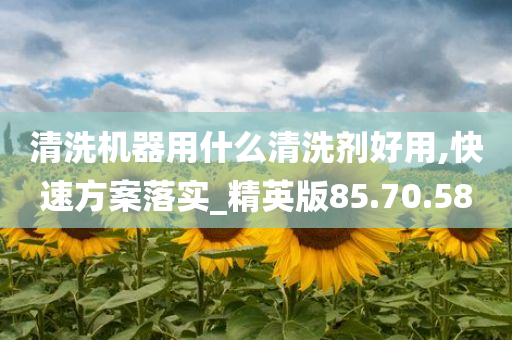 清洗机器用什么清洗剂好用,快速方案落实_精英版85.70.58