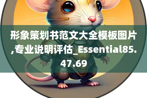 形象策划书范文大全模板图片,专业说明评估_Essential85.47.69