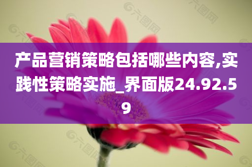 产品营销策略包括哪些内容,实践性策略实施_界面版24.92.59