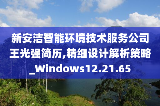 新安洁智能环境技术服务公司王光强简历,精细设计解析策略_Windows12.21.65