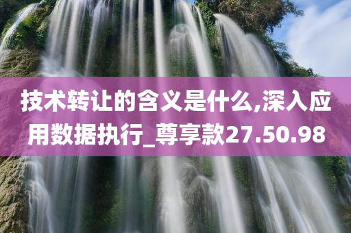 技术转让的含义是什么,深入应用数据执行_尊享款27.50.98