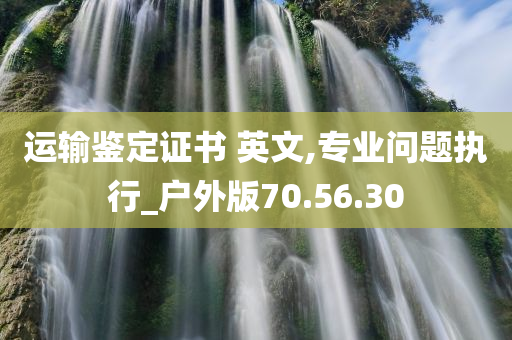 运输鉴定证书 英文,专业问题执行_户外版70.56.30