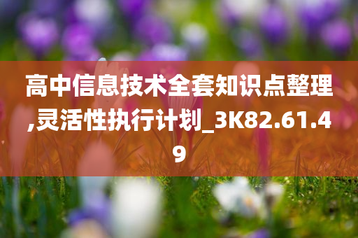 高中信息技术全套知识点整理,灵活性执行计划_3K82.61.49