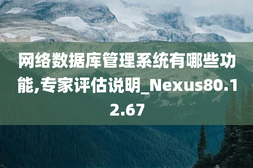 网络数据库管理系统有哪些功能,专家评估说明_Nexus80.12.67