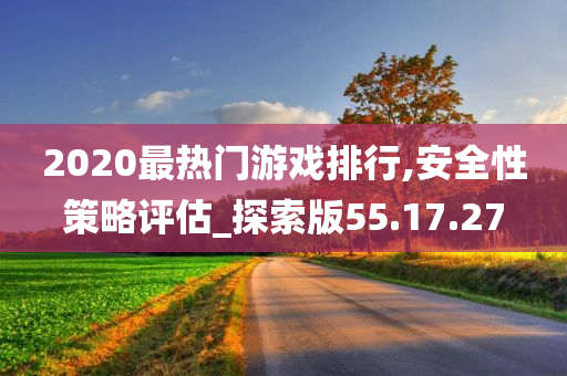 2020最热门游戏排行,安全性策略评估_探索版55.17.27