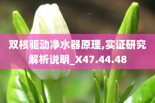 双核驱动净水器原理,实证研究解析说明_X47.44.48