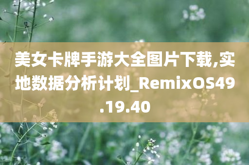 美女卡牌手游大全图片下载,实地数据分析计划_RemixOS49.19.40