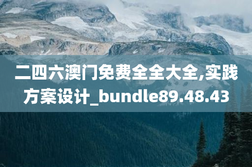 二四六澳门免费全全大全,实践方案设计_bundle89.48.43