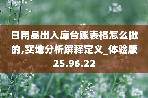 日用品出入库台账表格怎么做的,实地分析解释定义_体验版25.96.22