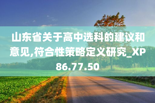 山东省关于高中选科的建议和意见,符合性策略定义研究_XP86.77.50