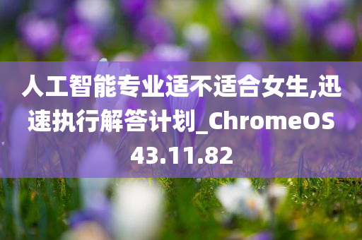 人工智能专业适不适合女生,迅速执行解答计划_ChromeOS43.11.82