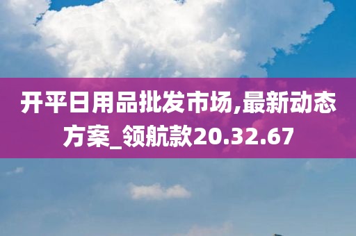 开平日用品批发市场,最新动态方案_领航款20.32.67