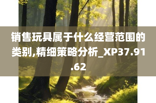 销售玩具属于什么经营范围的类别,精细策略分析_XP37.91.62