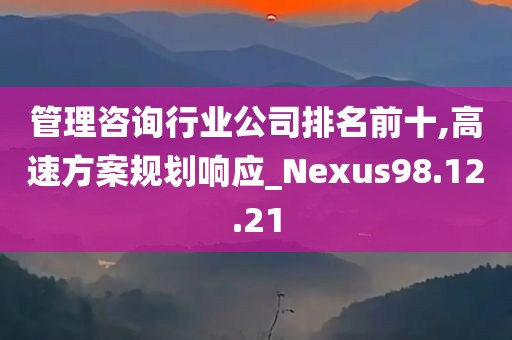 管理咨询行业公司排名前十,高速方案规划响应_Nexus98.12.21