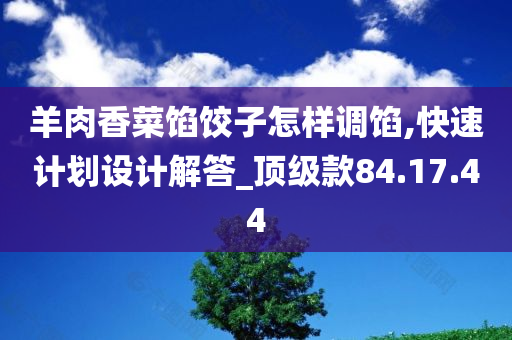 羊肉香菜馅饺子怎样调馅,快速计划设计解答_顶级款84.17.44