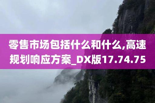 零售市场包括什么和什么,高速规划响应方案_DX版17.74.75