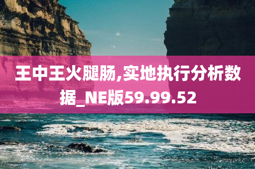 王中王火腿肠,实地执行分析数据_NE版59.99.52