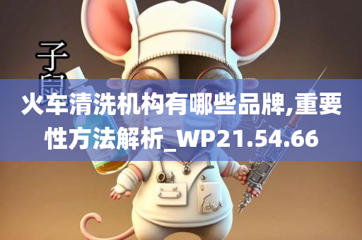 火车清洗机构有哪些品牌,重要性方法解析_WP21.54.66