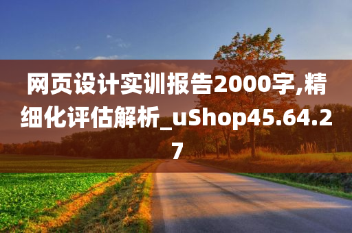 网页设计实训报告2000字,精细化评估解析_uShop45.64.27