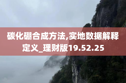 碳化硼合成方法,实地数据解释定义_理财版19.52.25