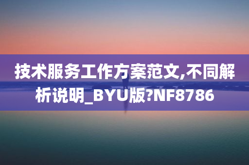 技术服务工作方案范文,不同解析说明_BYU版?NF8786