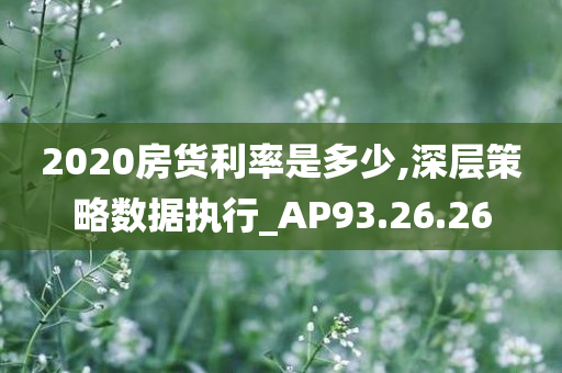 2020房货利率是多少,深层策略数据执行_AP93.26.26