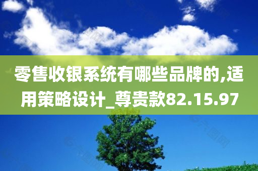 零售收银系统有哪些品牌的,适用策略设计_尊贵款82.15.97