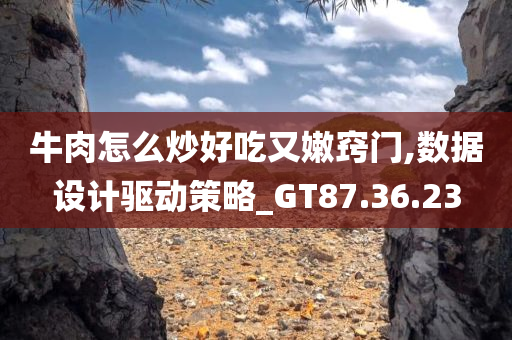 牛肉怎么炒好吃又嫩窍门,数据设计驱动策略_GT87.36.23